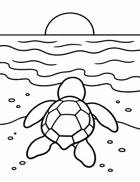 Baby sea turtle heading to the sea coloring page