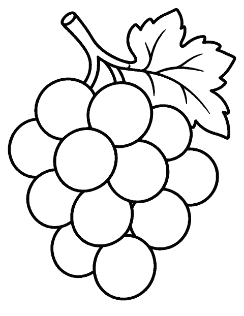 Bunch of grapes with roomy circles coloring page
