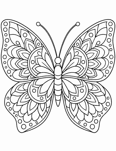 Butterfly mandala coloring page