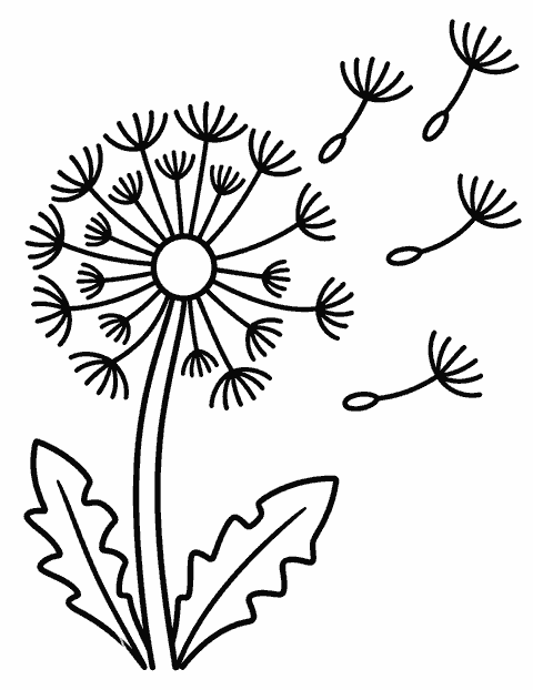 Dandelion seeds in the wind coloring page