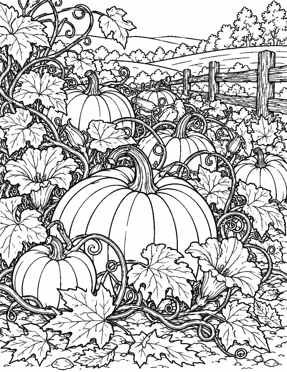 Detailed pumpkin garden with twisting vines and autumn leaves coloring page, black and white line art