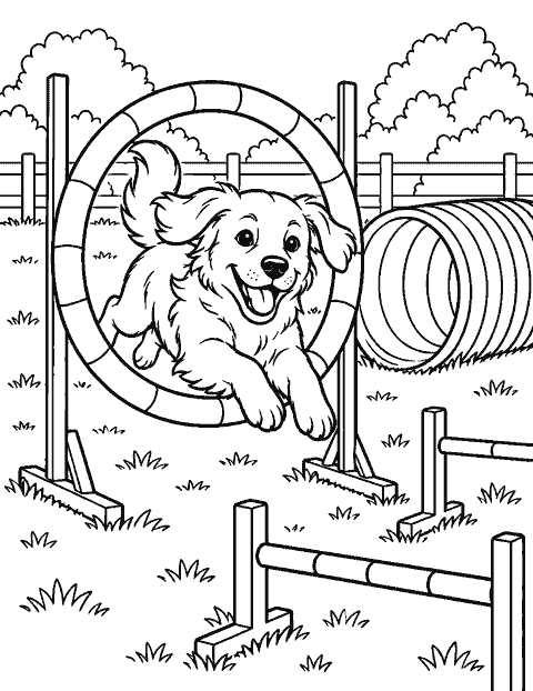 Dog agility course with hoops, tunnels and a jumping dog coloring page