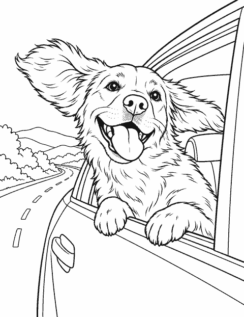 Dog looking out of a car window coloring page