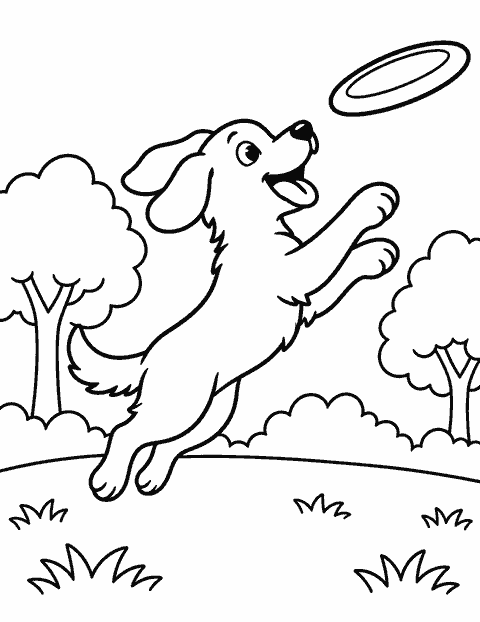 Dog catching a flying disc coloring page