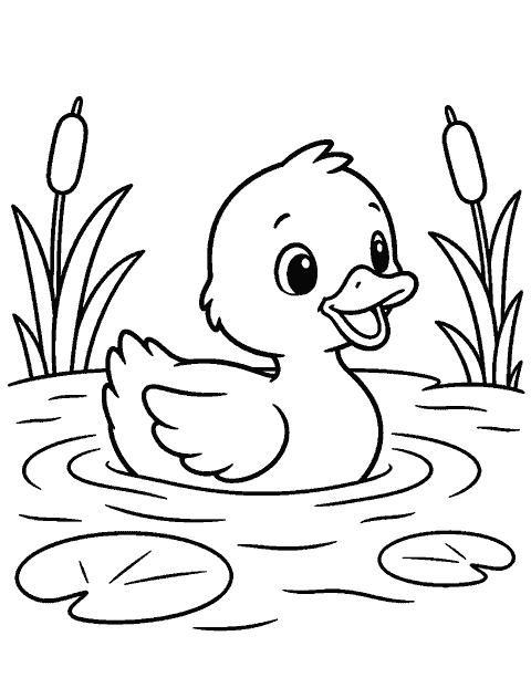 Duckling paddling in a small pond coloring page