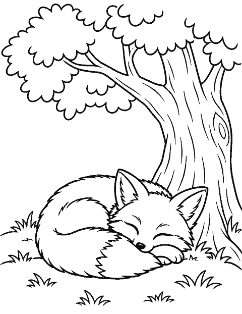 Fox curled up beneath a tree coloring page