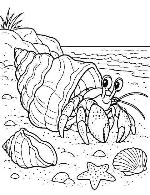 Hermit crab trying on a new shell coloring page