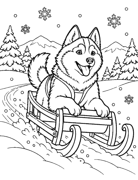 Husky riding in a sled over gentle snow coloring page