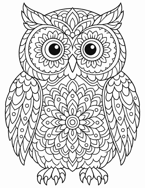 Owl mandala coloring page