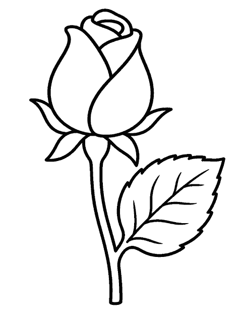 Rosebud with one stem and a large leaf coloring page