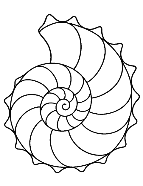 Seashell mandala with broad spiral shapes coloring page