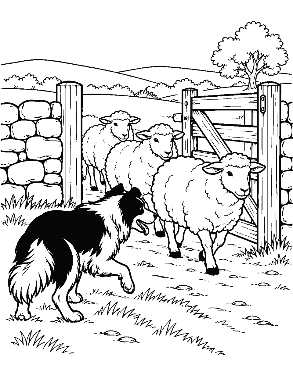Sheepdog guiding sheep through a gate coloring page, black and white line art