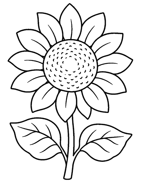 Single sunflower with wide petals and two leaves coloring page
