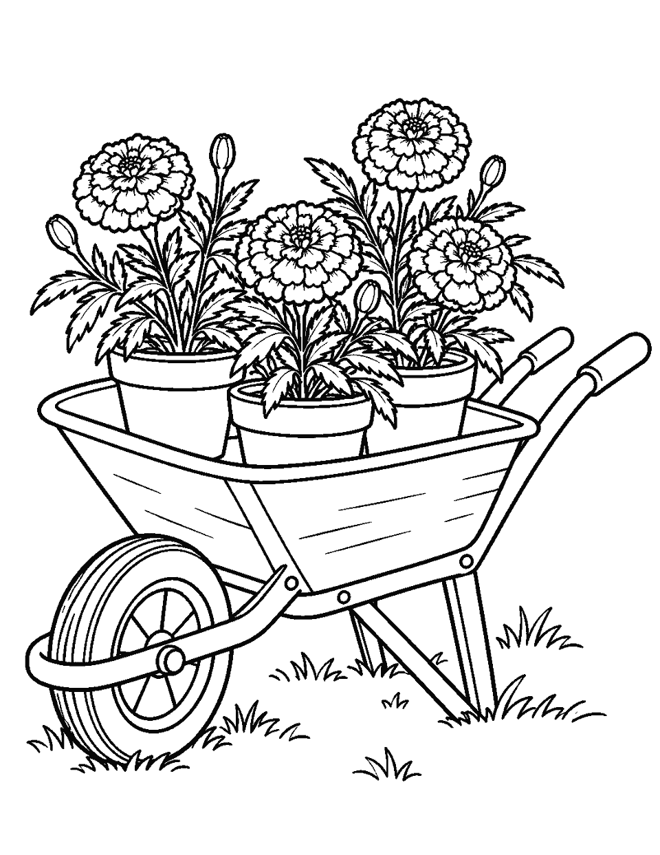 Wheelbarrow carrying potted marigolds coloring page, black and white line art